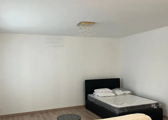 Appartement Au Coeur De Vannes